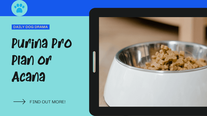 purina pro plan or acana featured image
