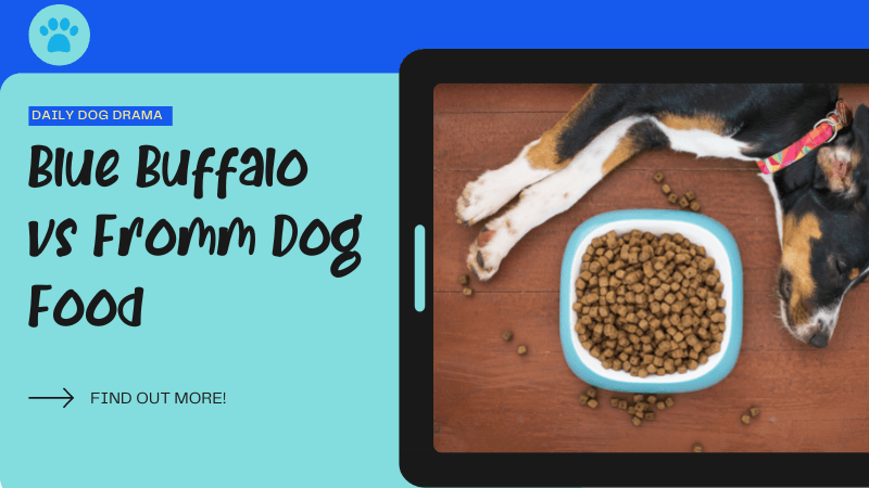 Blue Buffalo vs Fromm Dog Food Compared