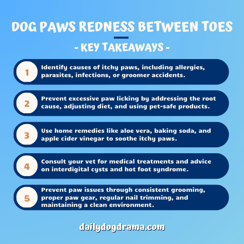 Dog Paws Redness Between Toes Home Remedies key takeaways