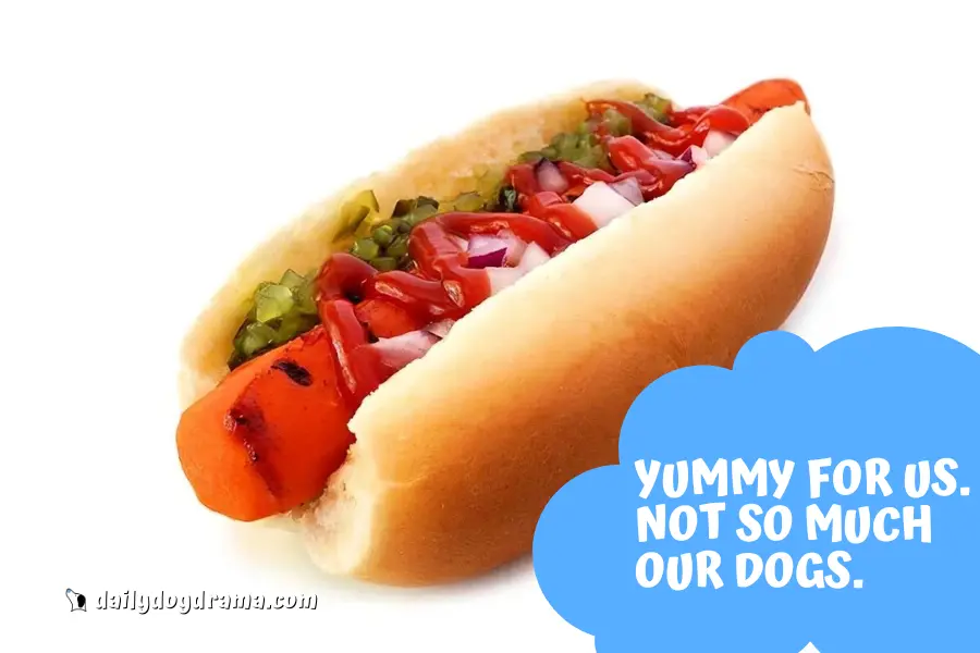 Why Relish is Bad for Your Dog?