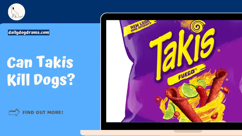 Can Takis Kill Dogs featured image