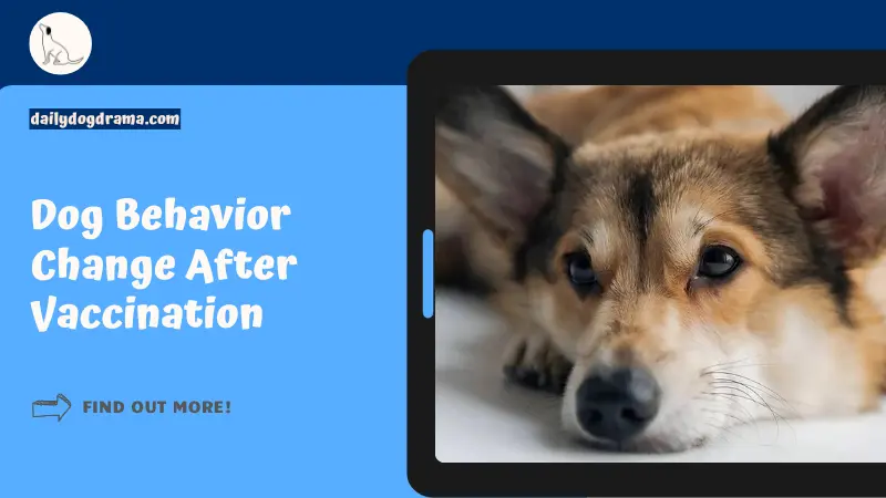Dog Behavior Change After Vaccination featured image