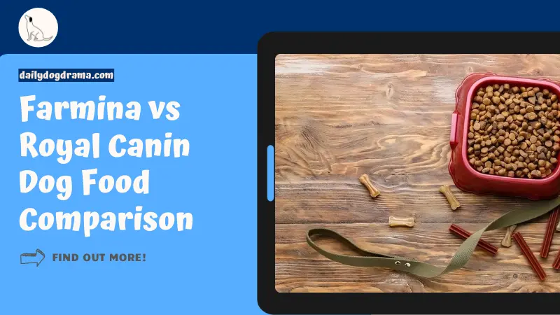 Farmina vs Royal Canin Dog Food Comparison featured image