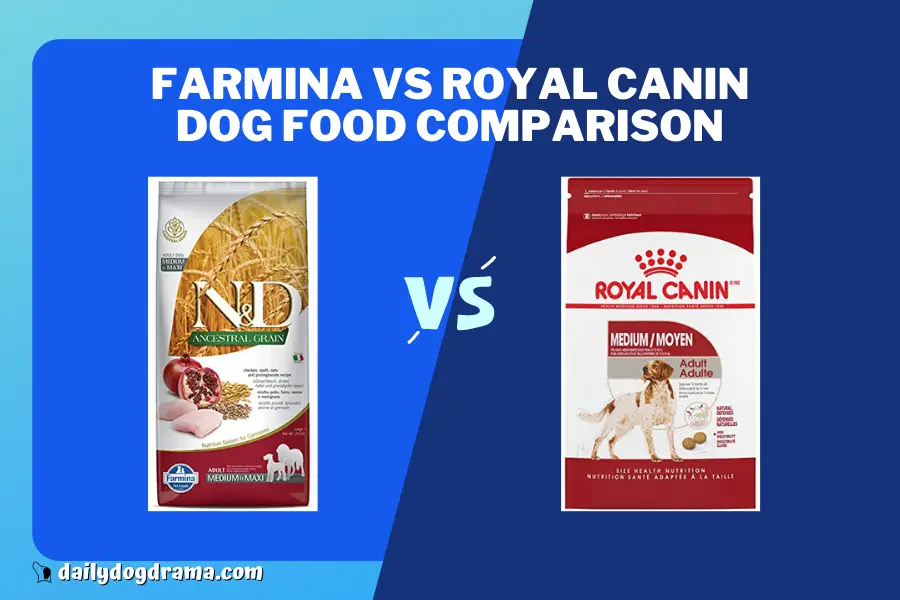 Royal-canin-vs-farmina-Comparison
