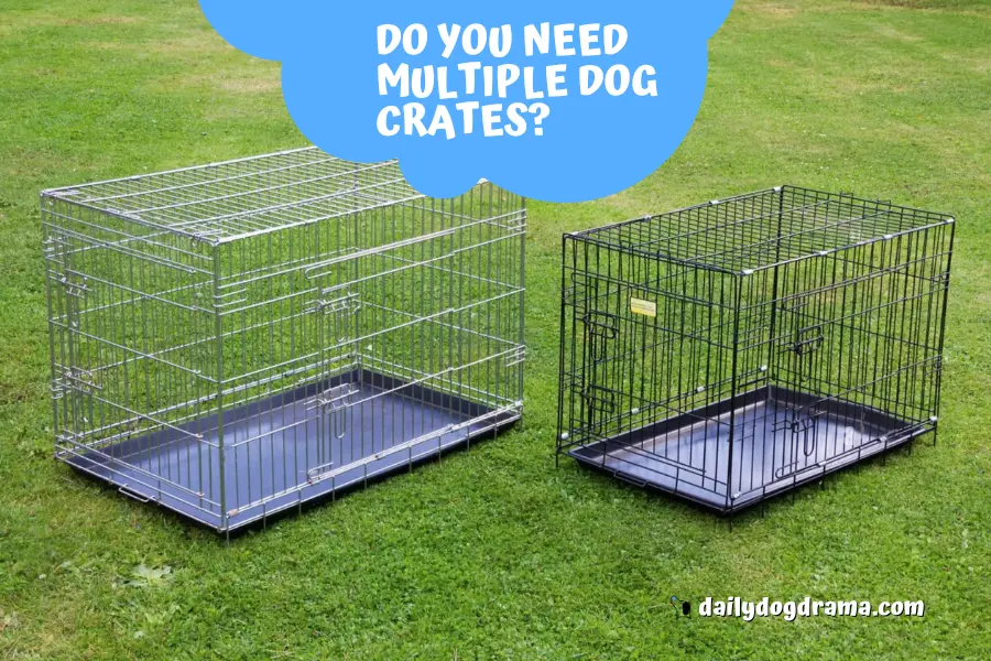Should You Use Multiple Dog Crates Instead of Moving One Crate Around?