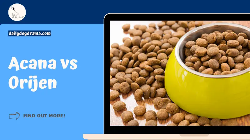 Acana vs Orijen Dog Food Comparison featured image