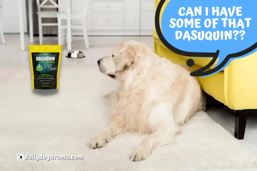 Can a Dog Overdose on Dasuquin