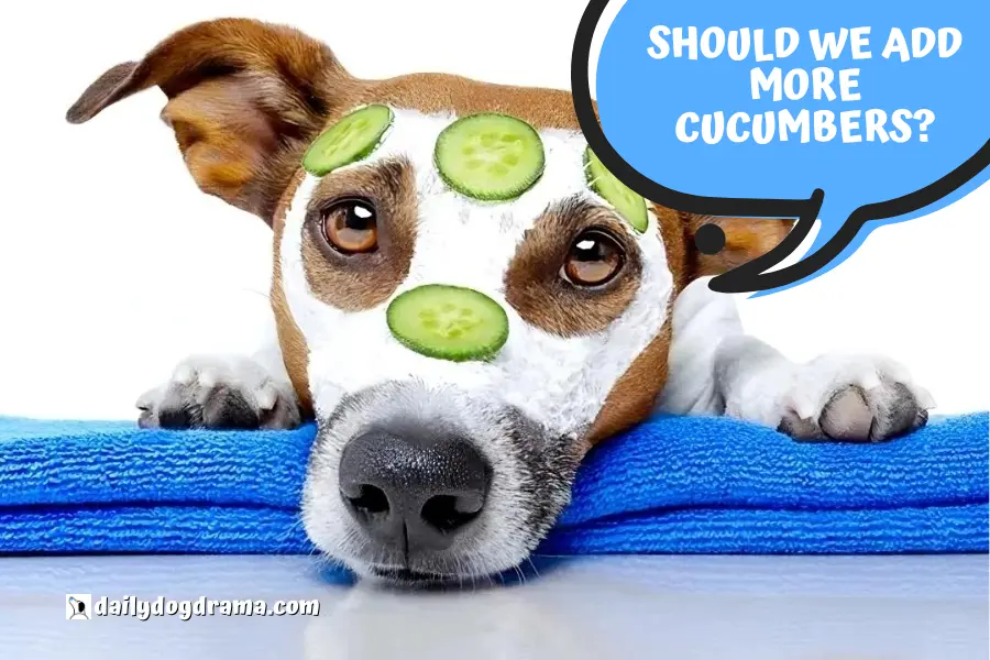 How to Prevent Canine Acne