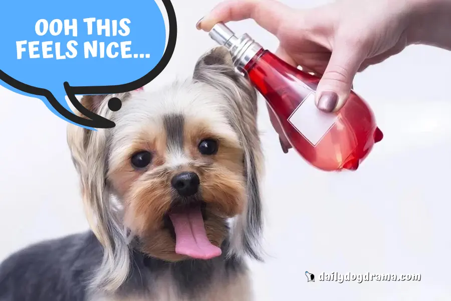 How to Put Perfume on a Dog