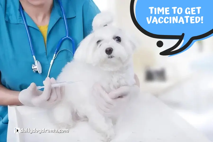 Understanding Dog Vaccinations