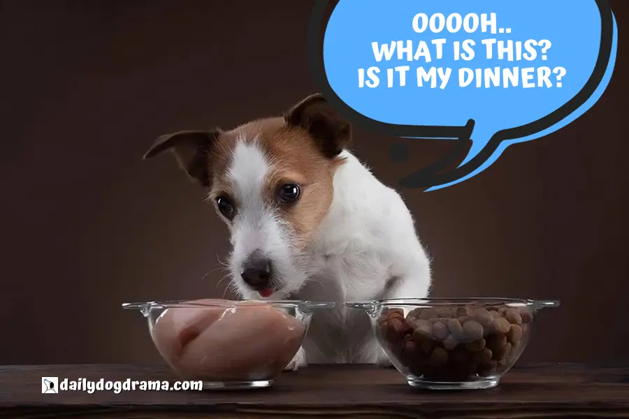 How To Switch Your Puppy To A Raw Diet